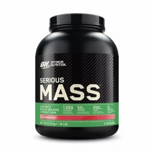 Optimum Nutrition Serious Mass Gainer Strawberry 2.73 kg (8 Servings) | BKH-865307