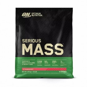 Optimum Nutrition Serious Mass Gainer Strawberry 5.45 kg (16 Servings) | HET-952864